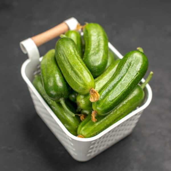 Mini Cucumbers